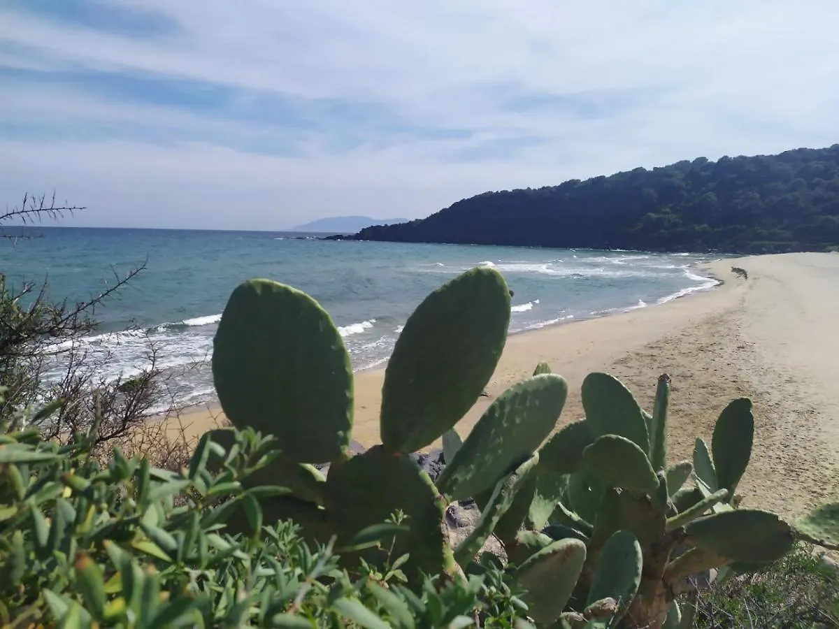 Appartement Appartamento A 50 Mt Dal Mare Cala Gonone Italië