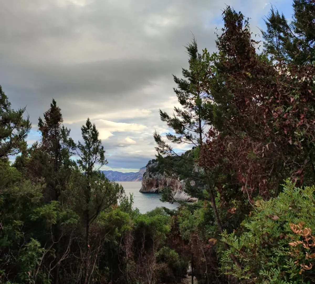 Appartamento A 50 Mt Dal Mare Cala Gonone 0*,  Italy